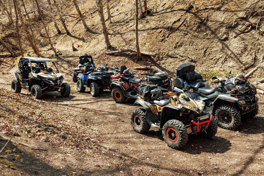 Buggy & Butterfly Adventure 2