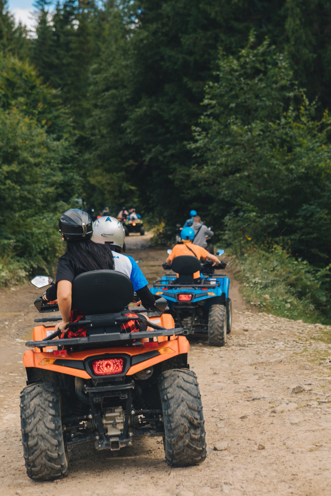 Buggy & Butterfly Adventure 1